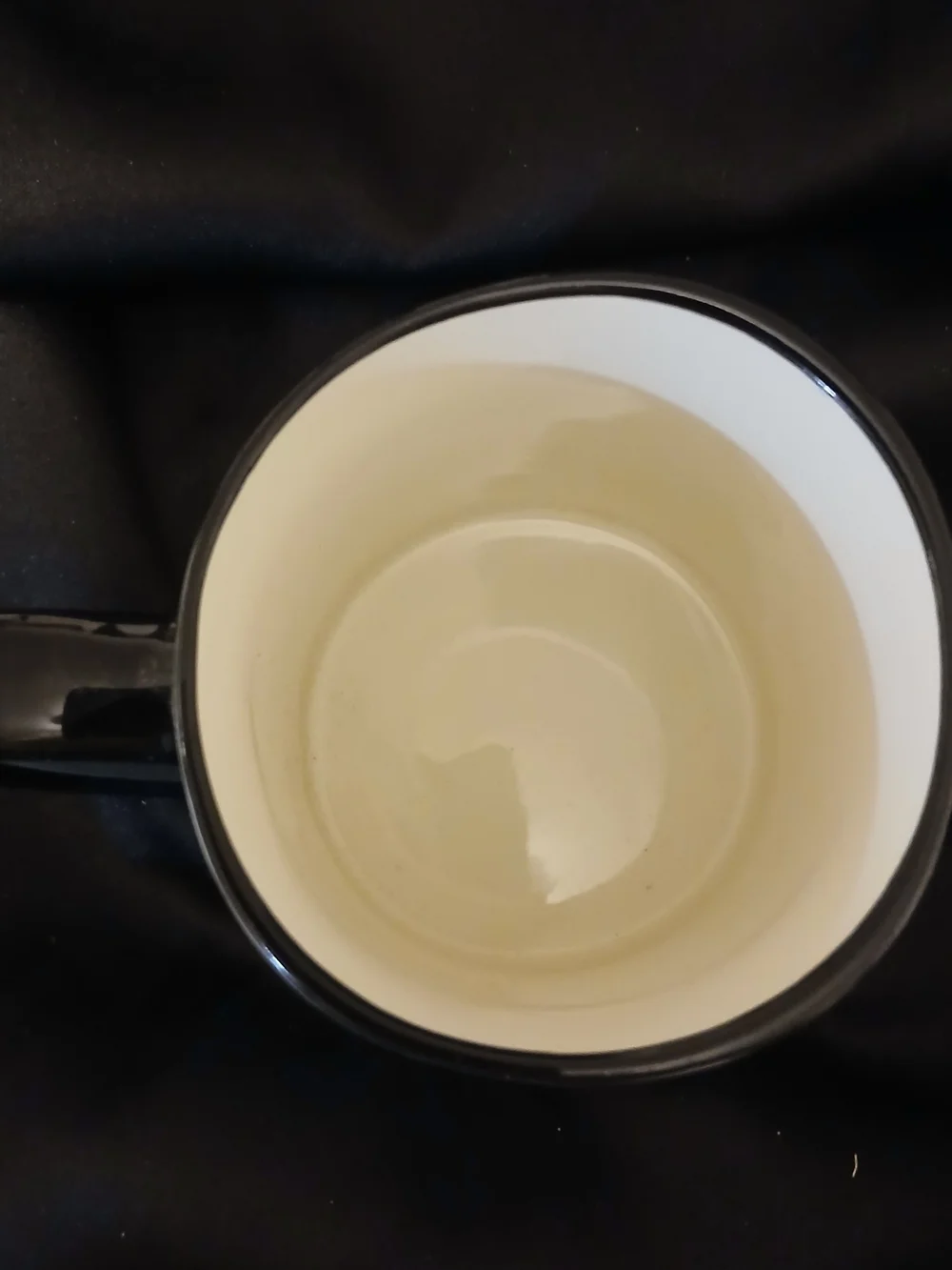 White Dog Graphic Coffee Mug with Black Handle - Cute 'Woof Music' Design